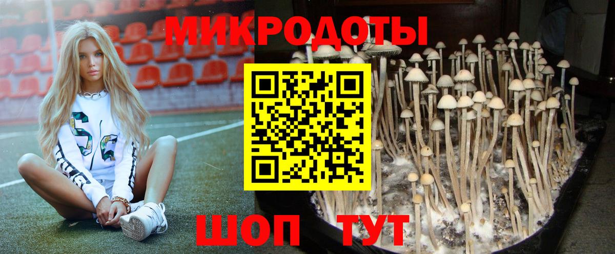 Псилоцибиновые грибы мухоморы Магадан