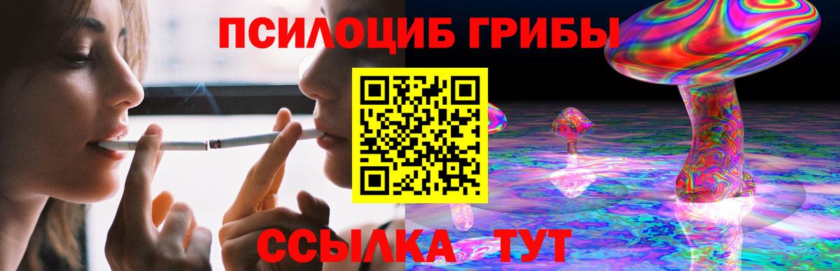 Псилоцибиновые грибы Psilocybine cubensis  Вход с VPN  Магадан 